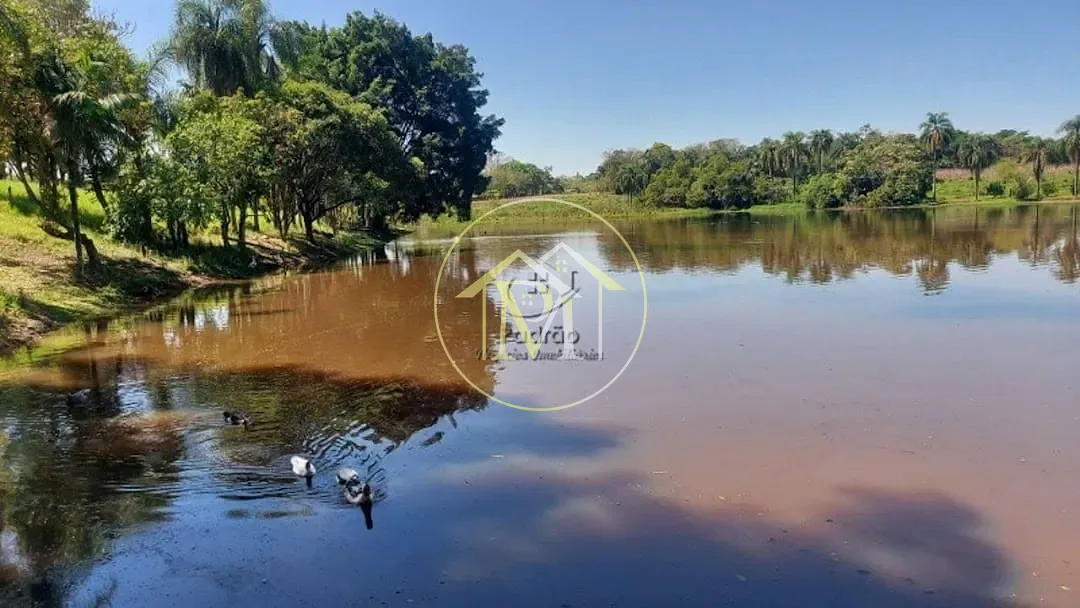 Fazenda, 48 hectares - Foto 40