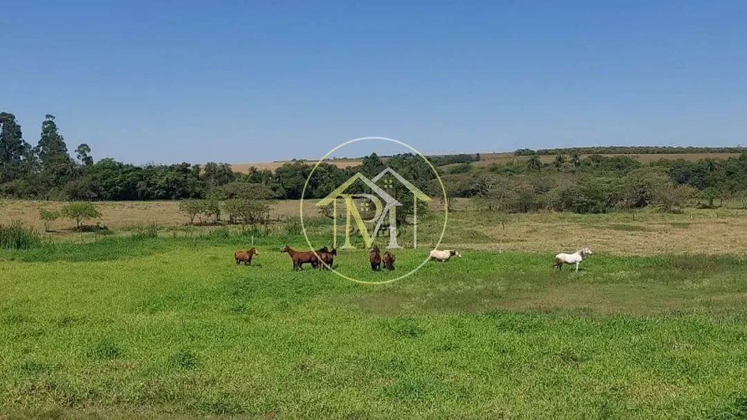 Fazenda, 48 hectares - Foto 2