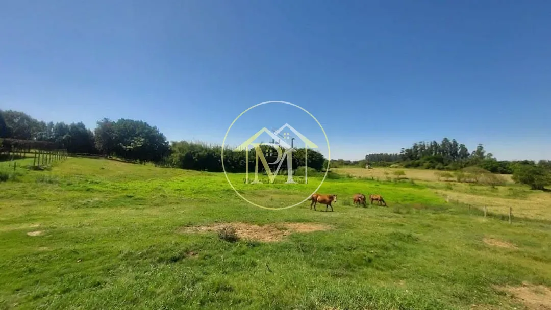 Fazenda, 48 hectares - Foto 29
