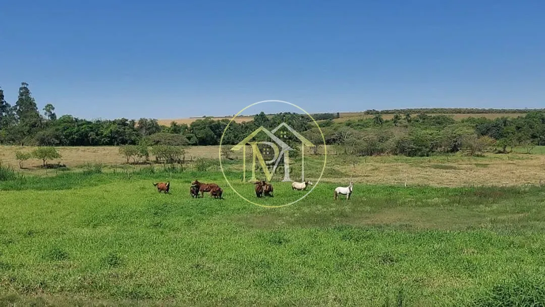Fazenda, 48 hectares - Foto 46