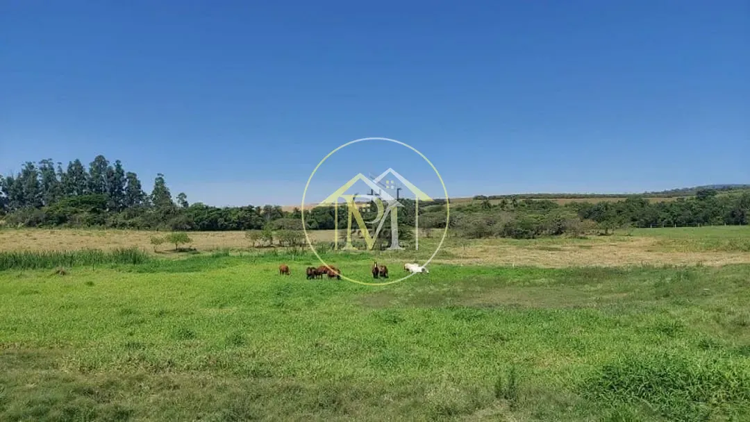 Fazenda, 48 hectares - Foto 47