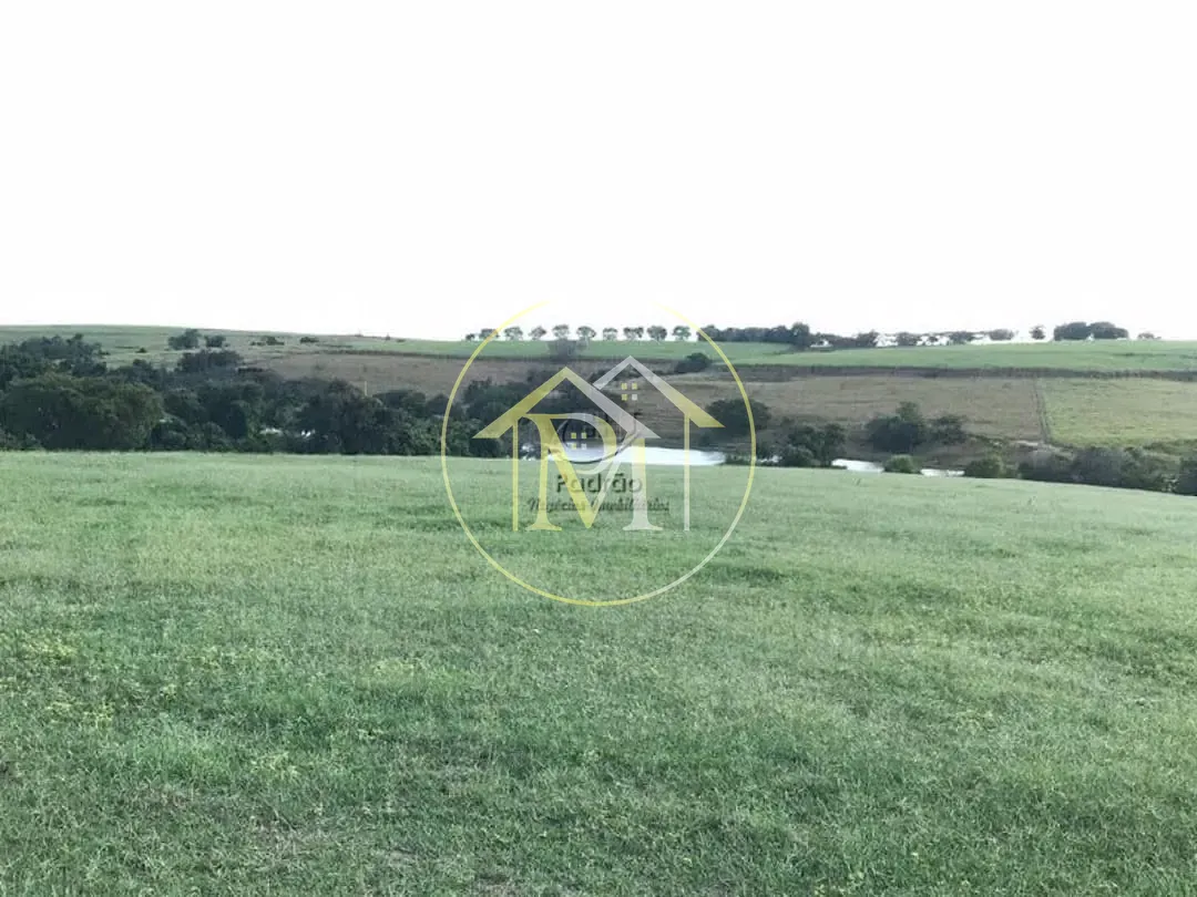 Fazenda, 20 hectares - Foto 3