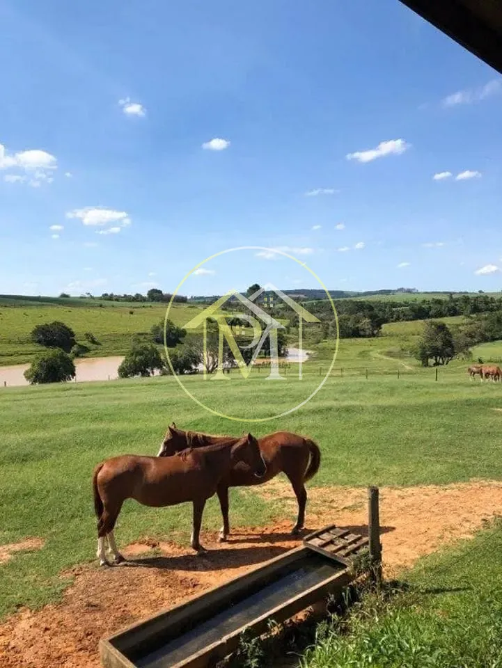 Fazenda, 20 hectares - Foto 1