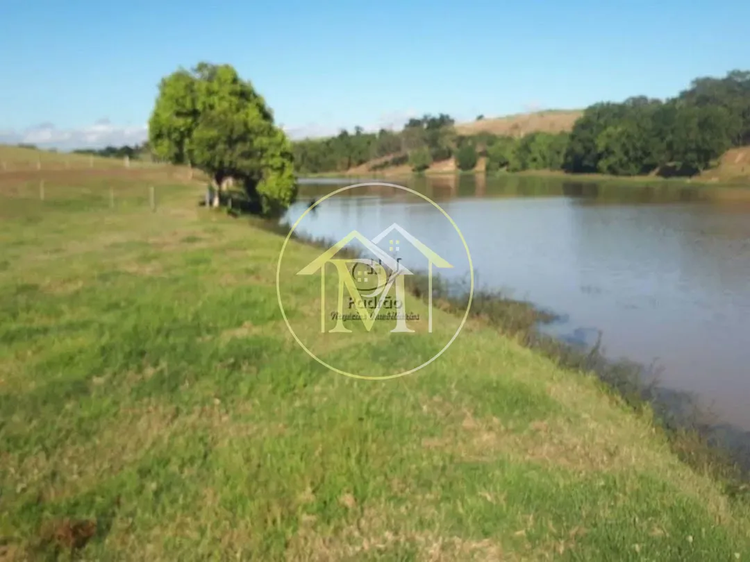 Fazenda, 20 hectares - Foto 4