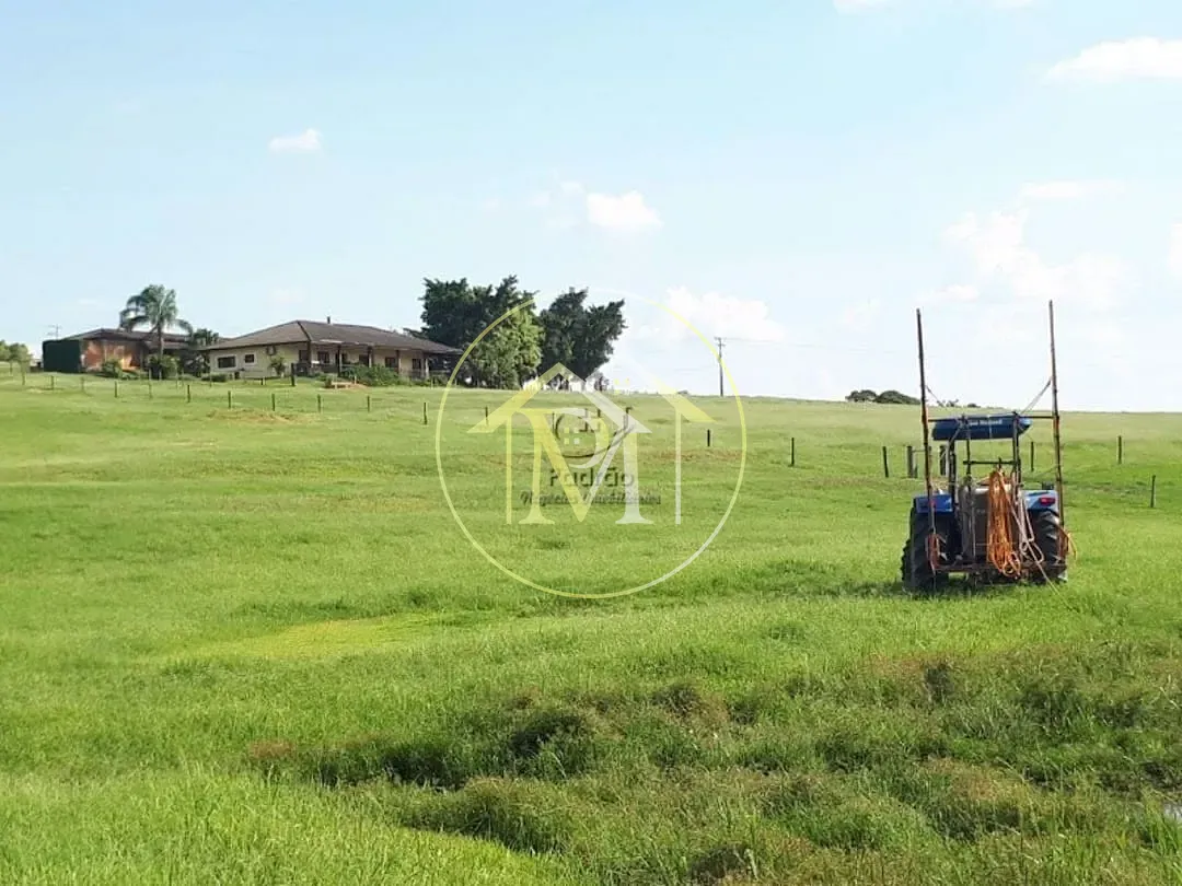 Fazenda, 20 hectares - Foto 9