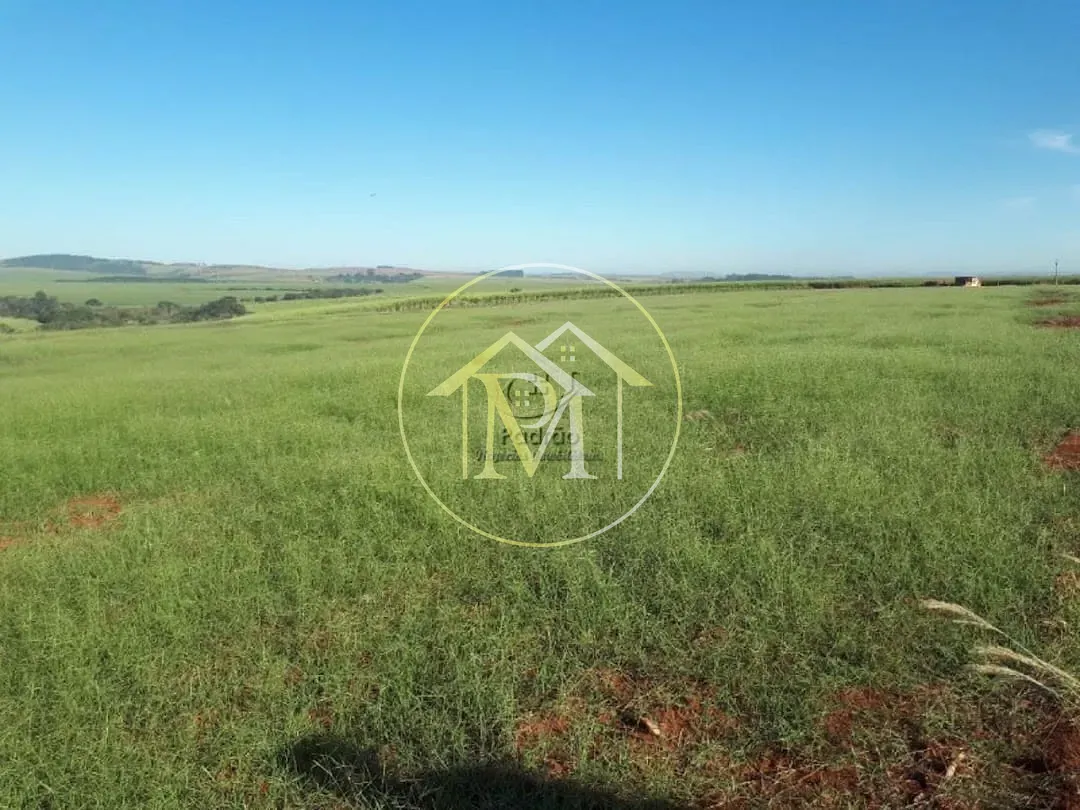 Fazenda, 20 hectares - Foto 6
