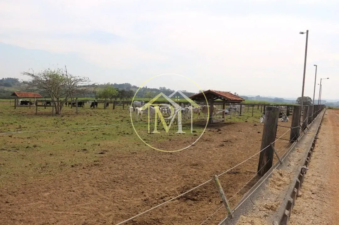Fazenda, 2000 m² - Foto 101