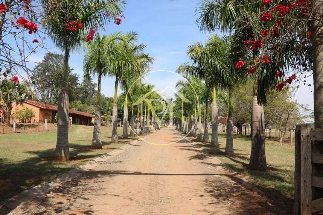 Fazenda, 2000 m² - Foto 94