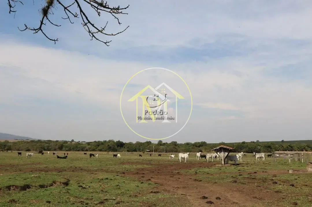 Fazenda, 2000 m² - Foto 91