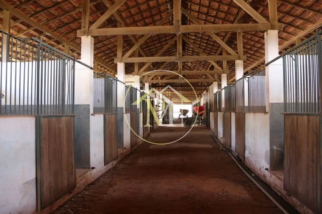 Fazenda, 2000 m² - Foto 95