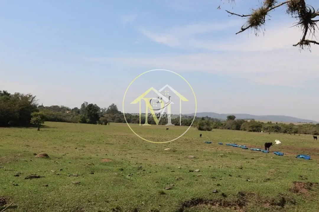 Fazenda, 2000 m² - Foto 89