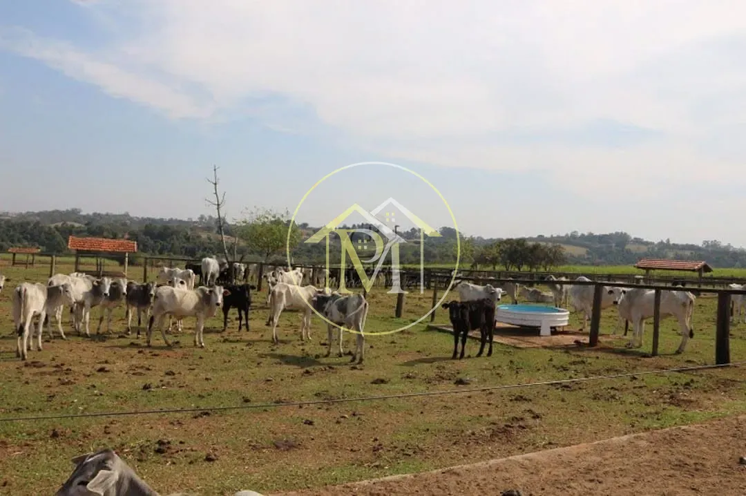 Fazenda, 2000 m² - Foto 98