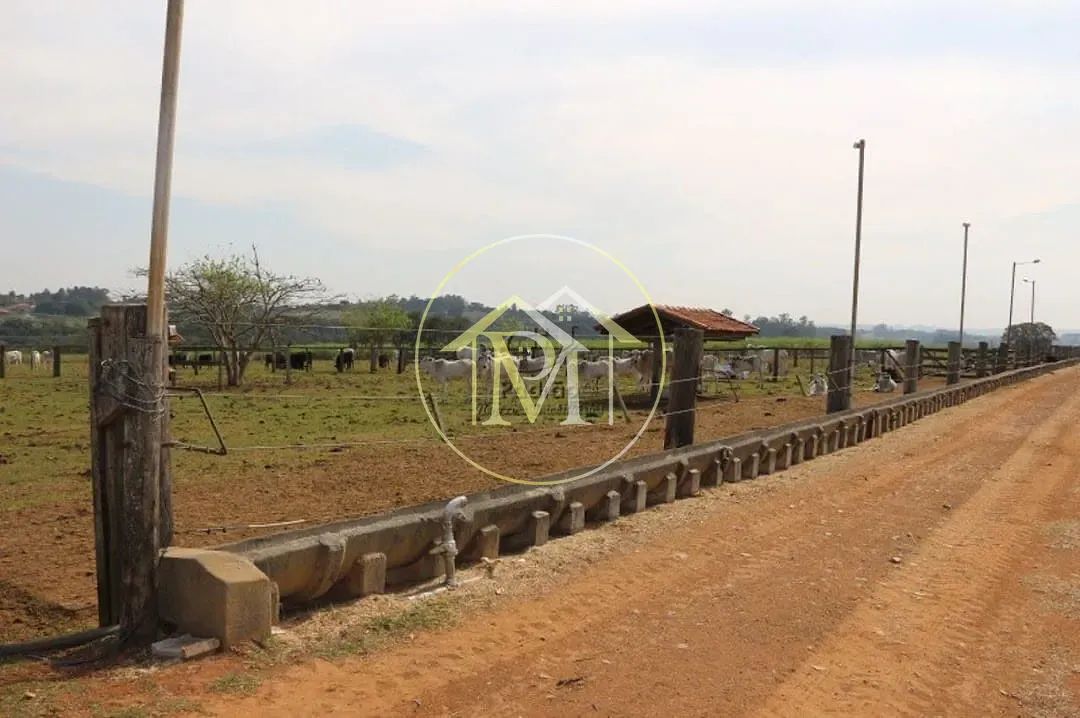 Fazenda, 2000 m² - Foto 102