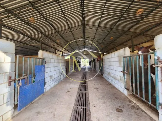 Haras com 171094m², à venda, no bairro Centro em Itu