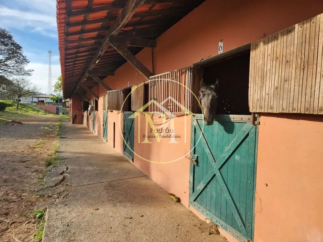 Fazenda, 17 hectares - Foto 91