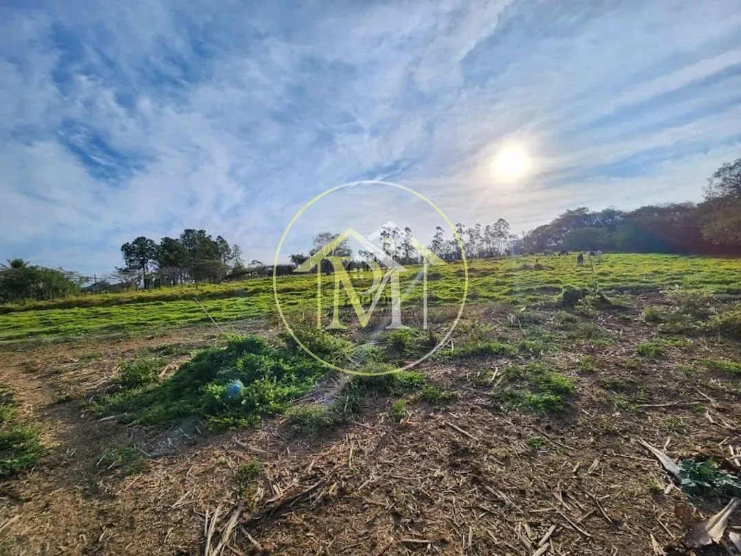 Fazenda, 17 hectares - Foto 28