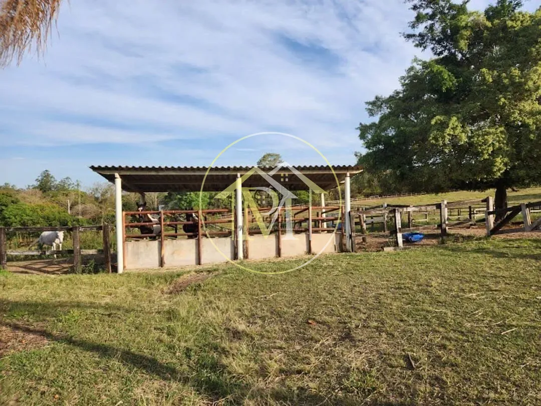 Fazenda, 17 hectares - Foto 34