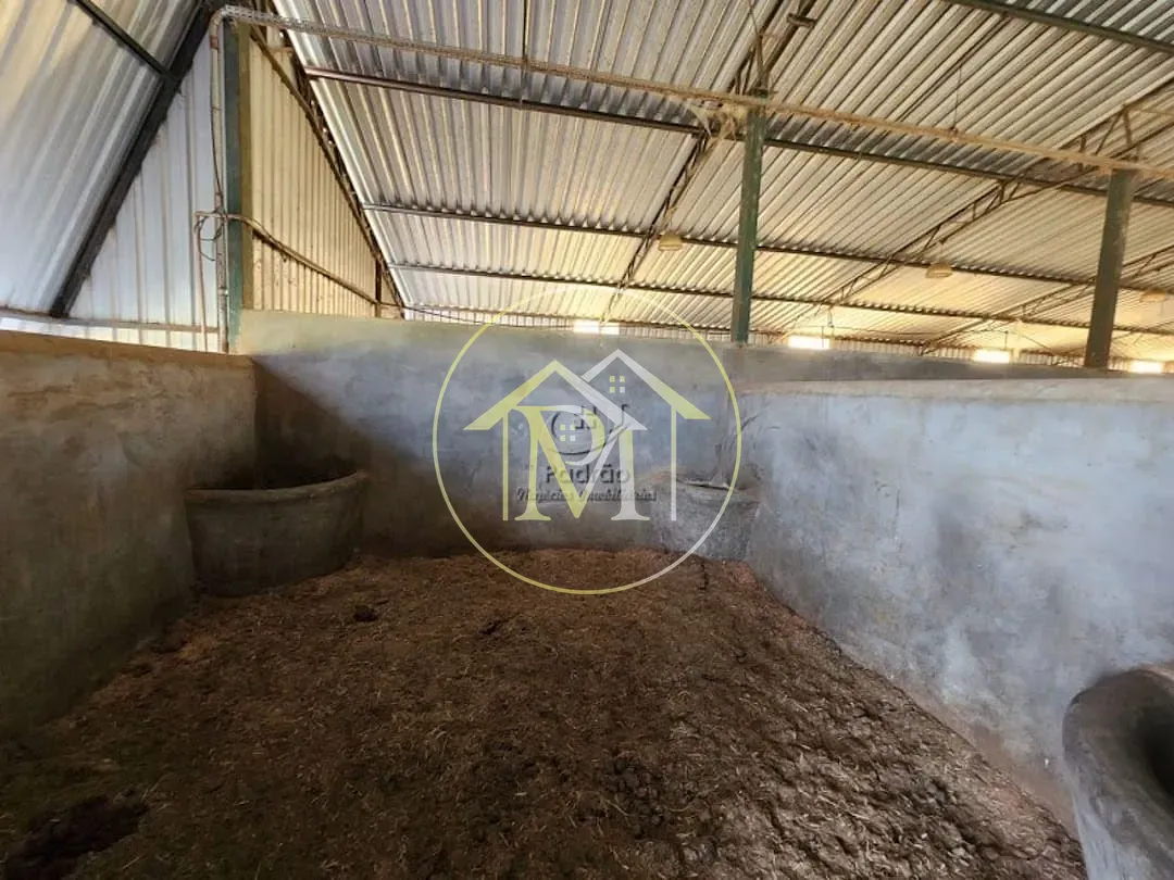 Fazenda, 17 hectares - Foto 101