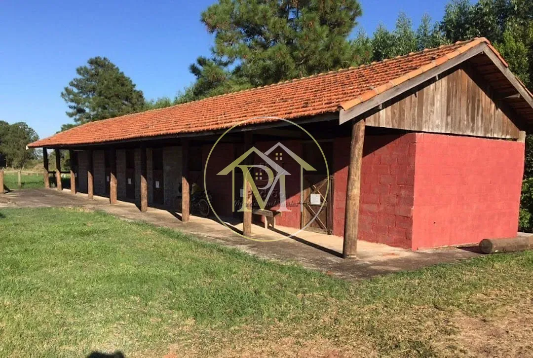 Fazenda, 13 hectares - Foto 10
