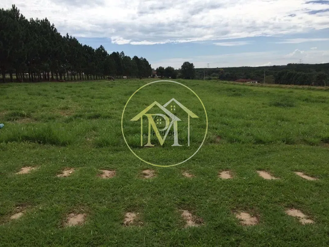 Fazenda, 13 hectares - Foto 4