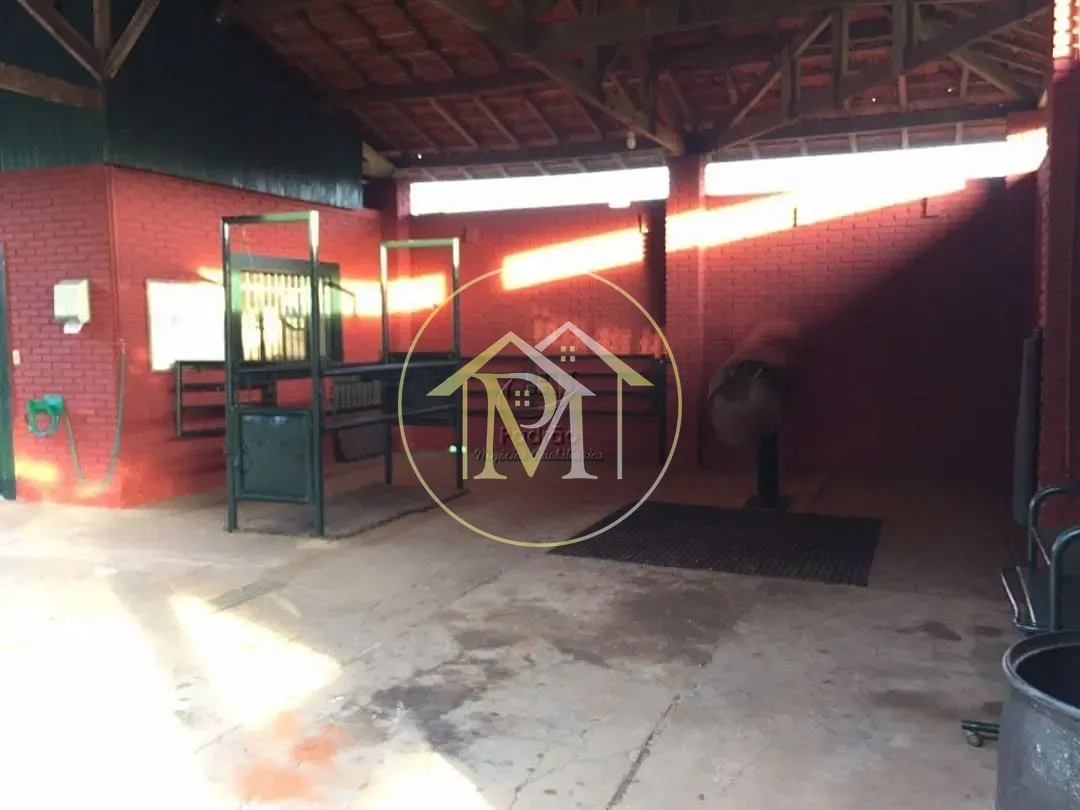Fazenda, 13 hectares - Foto 6