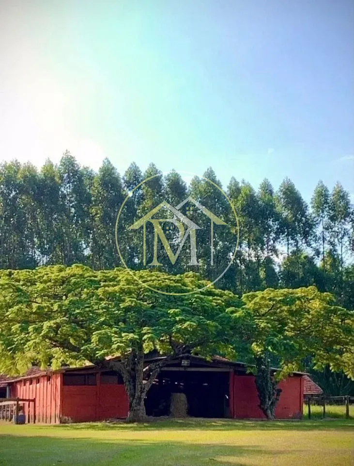 Fazenda, 13 hectares - Foto 7