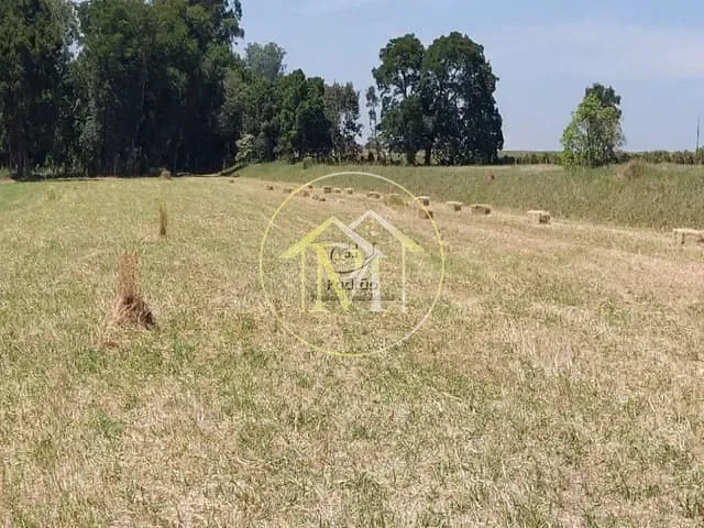 Haras com 847000m², à venda, no bairro Área Rural de Porto Feliz em Porto Feliz