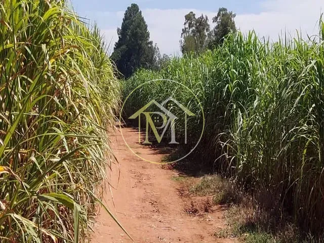 Haras com 847000m², à venda, no bairro Área Rural de Porto Feliz em Porto Feliz