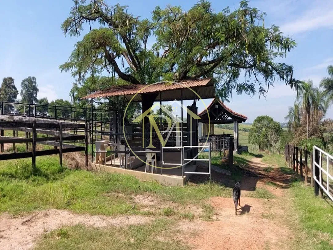Fazenda, 85 hectares - Foto 21