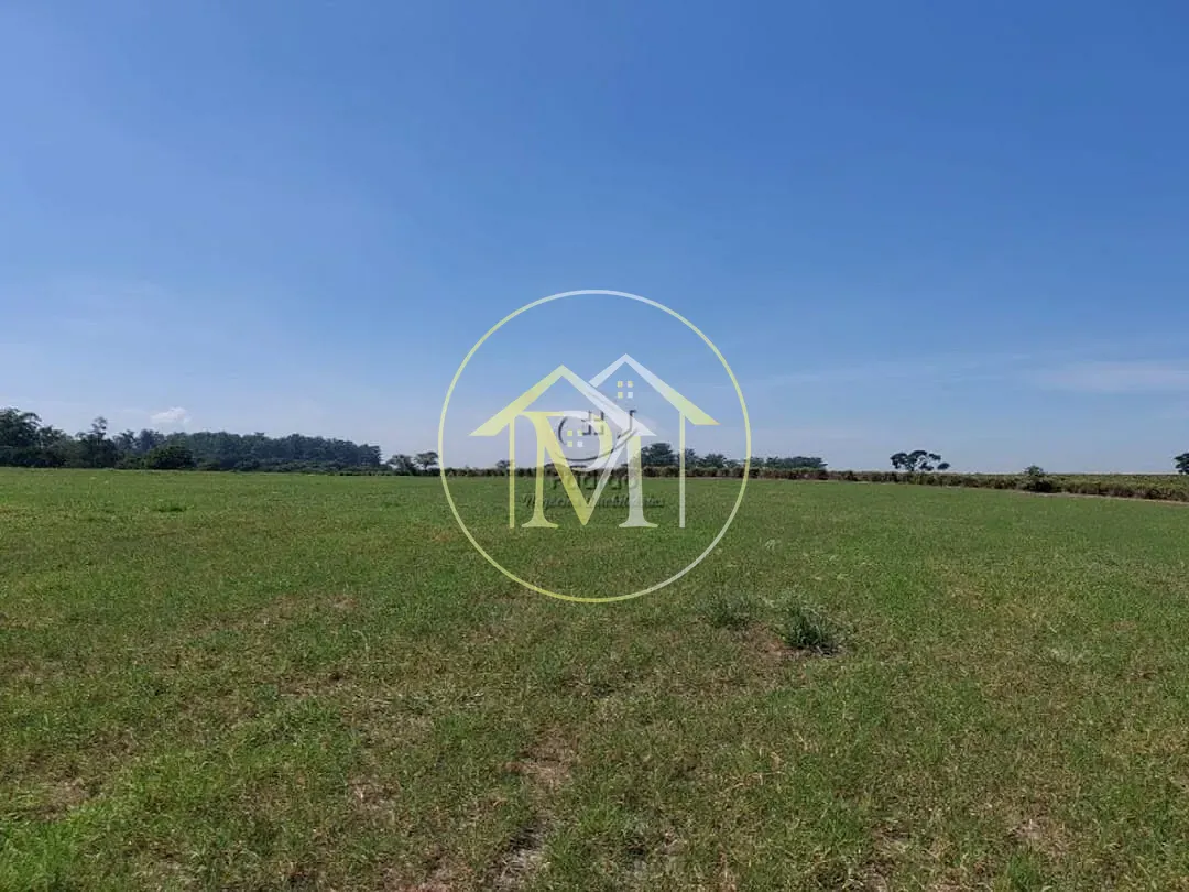 Fazenda, 85 hectares - Foto 10