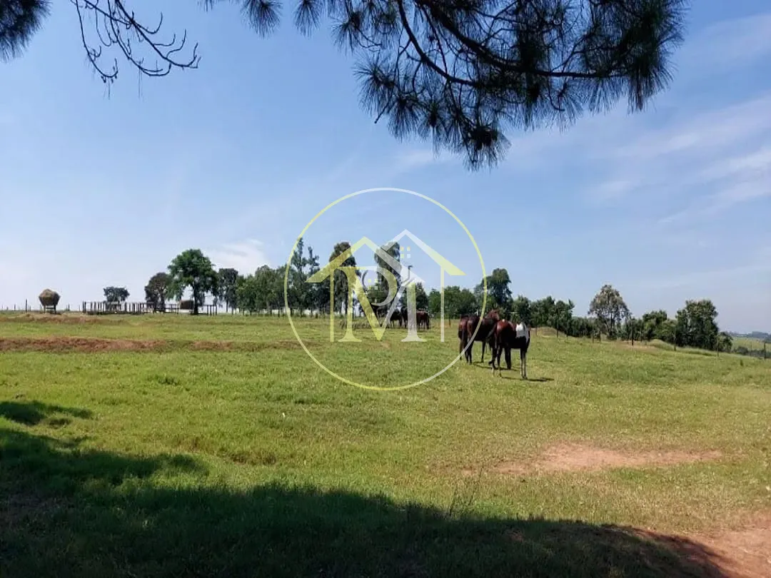 Fazenda, 85 hectares - Foto 22