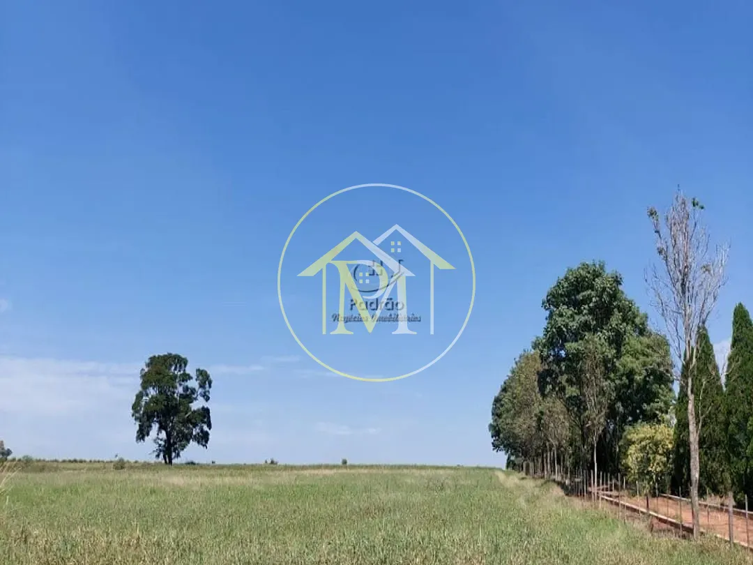 Fazenda, 85 hectares - Foto 6