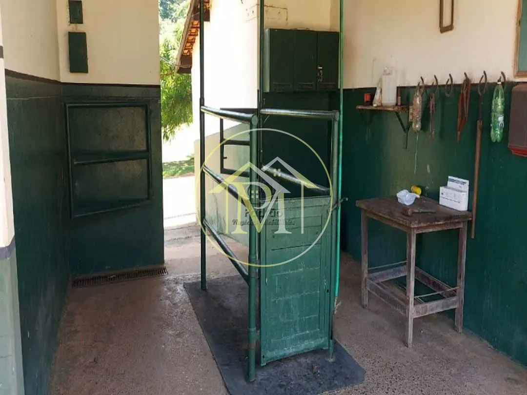 Fazenda, 85 hectares - Foto 26
