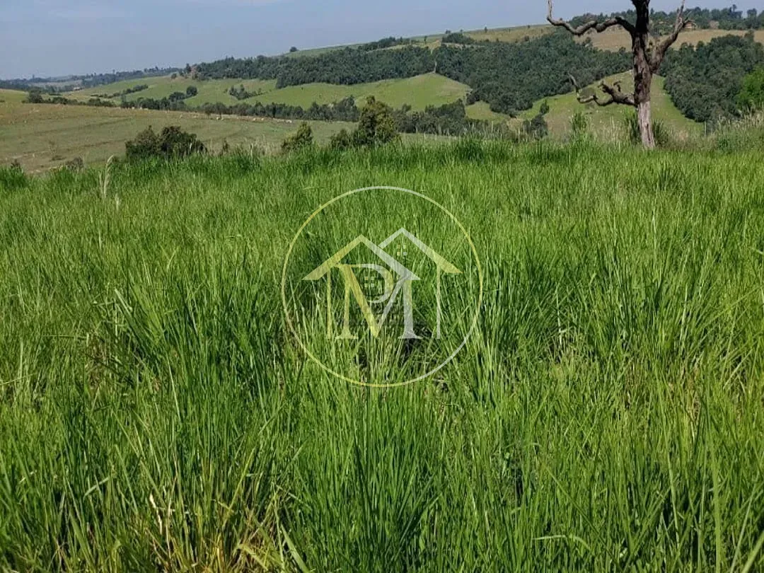 Fazenda, 85 hectares - Foto 11