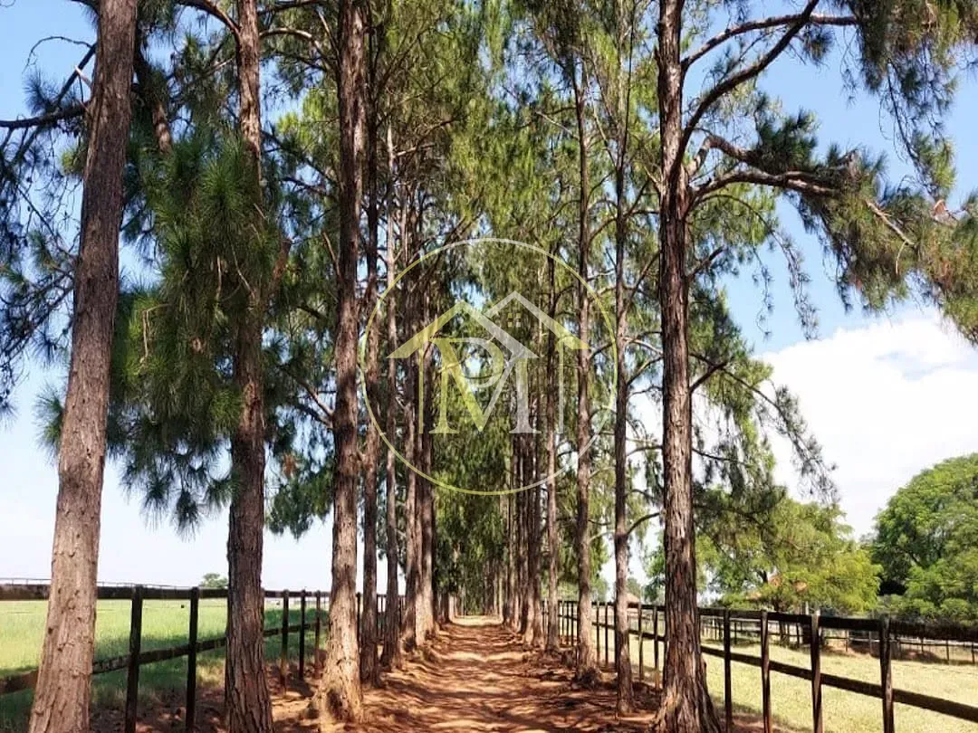 Fazenda, 85 hectares - Foto 13