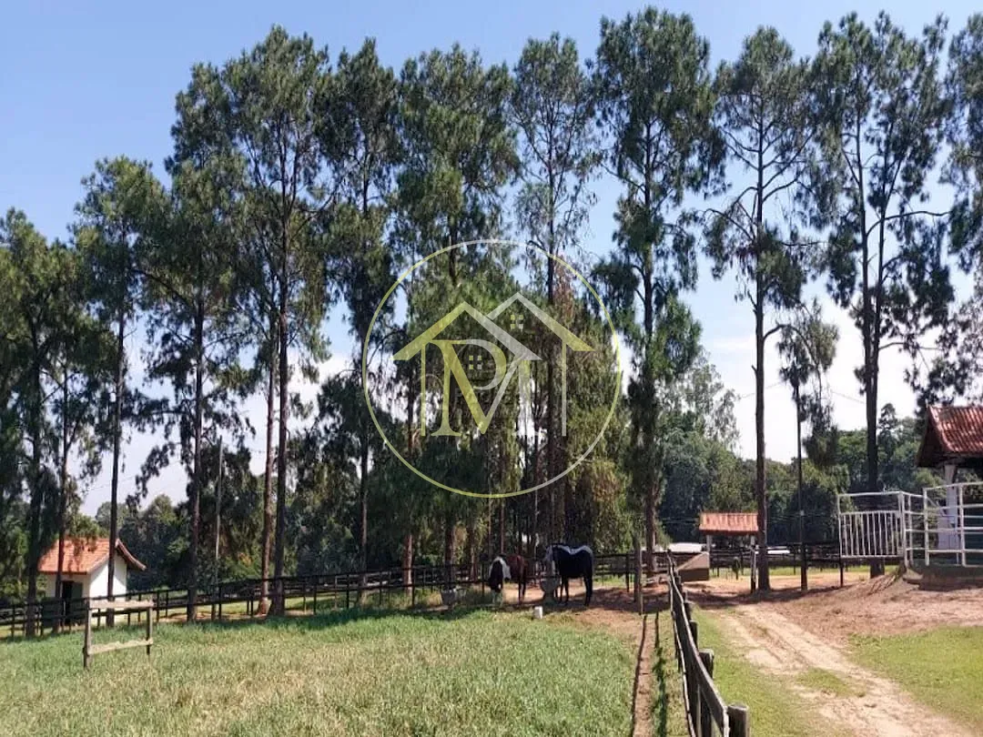 Fazenda, 85 hectares - Foto 20