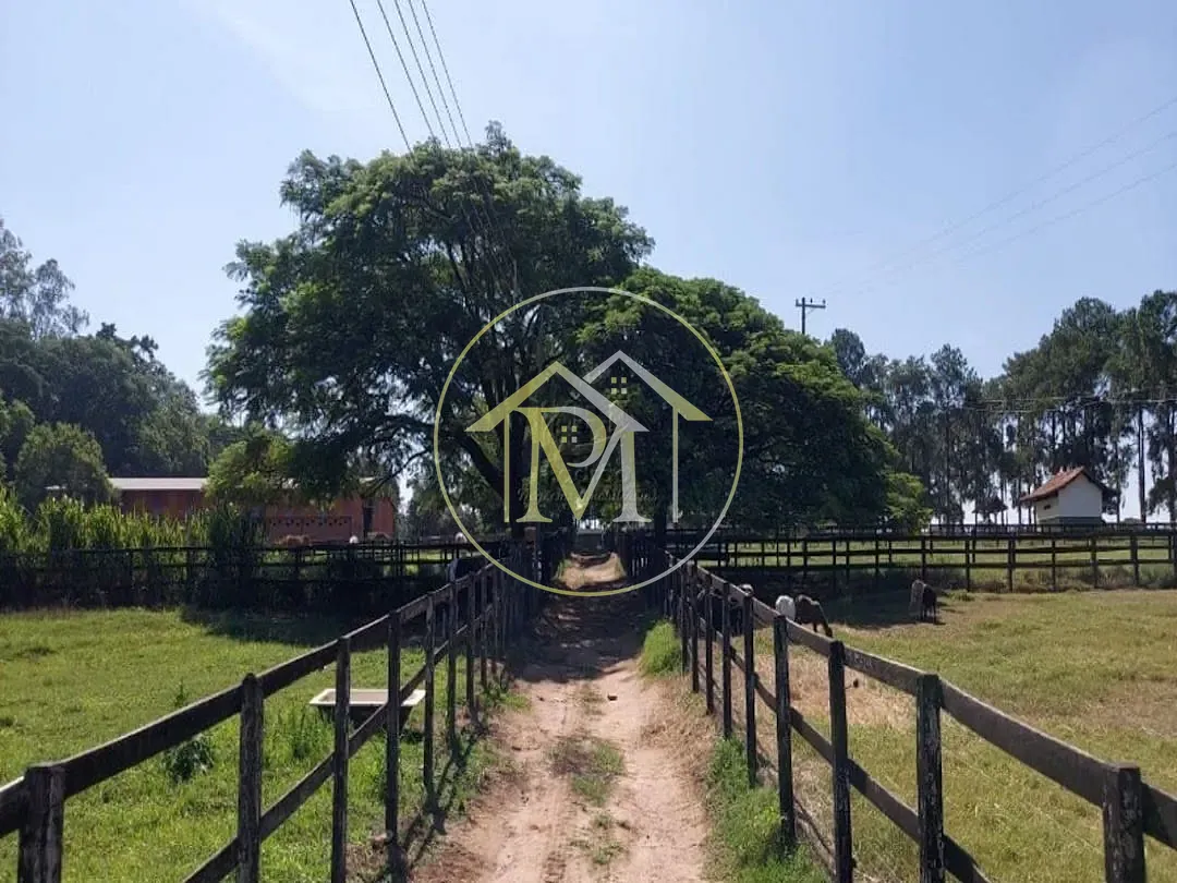 Fazenda, 85 hectares - Foto 34