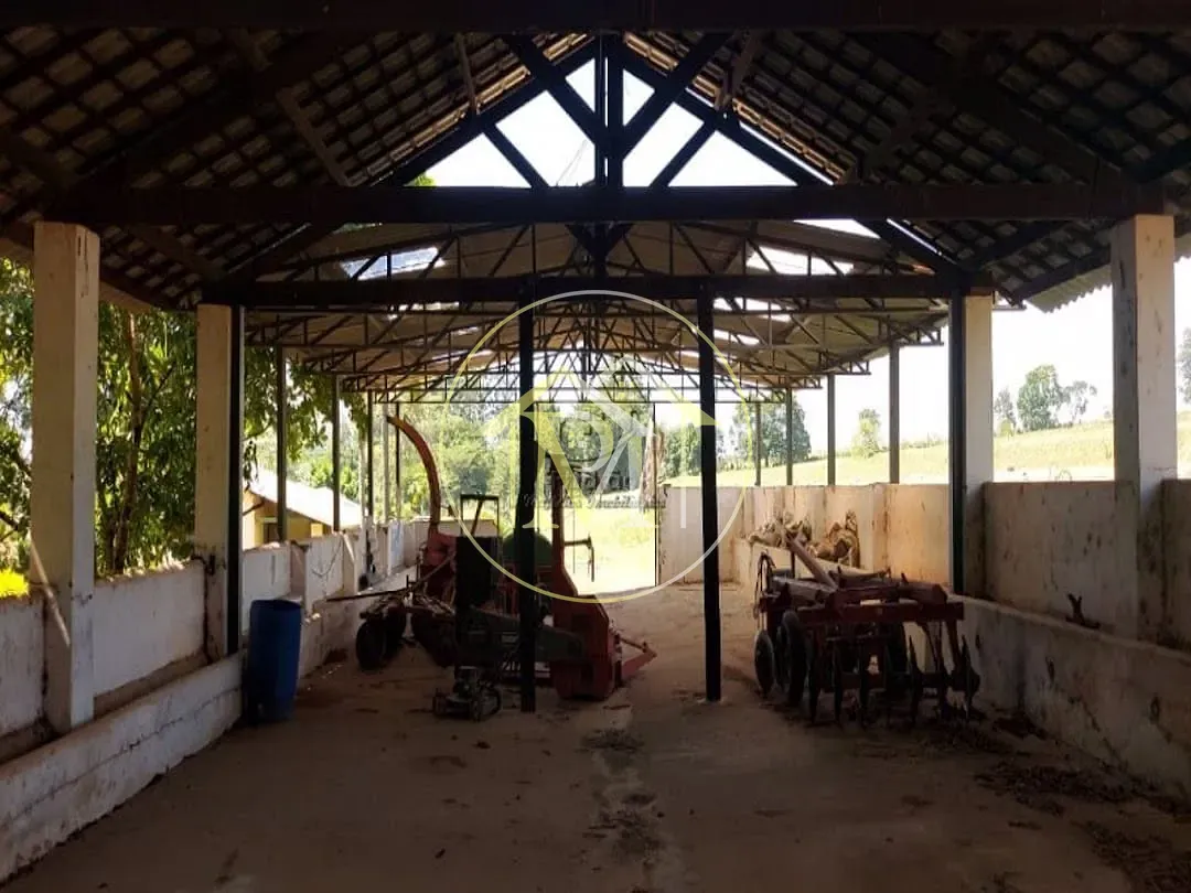 Fazenda, 85 hectares - Foto 8