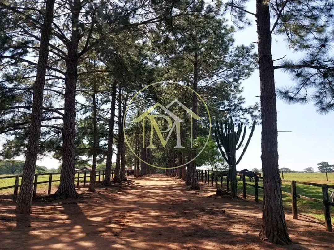 Fazenda, 85 hectares - Foto 16