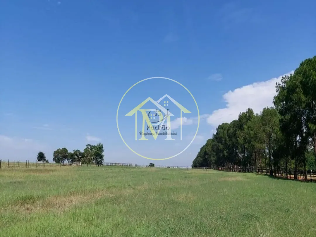 Fazenda, 85 hectares - Foto 12