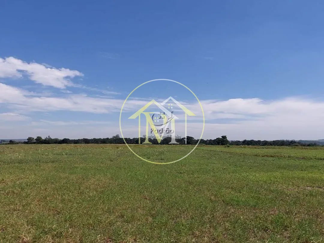 Fazenda, 85 hectares - Foto 9