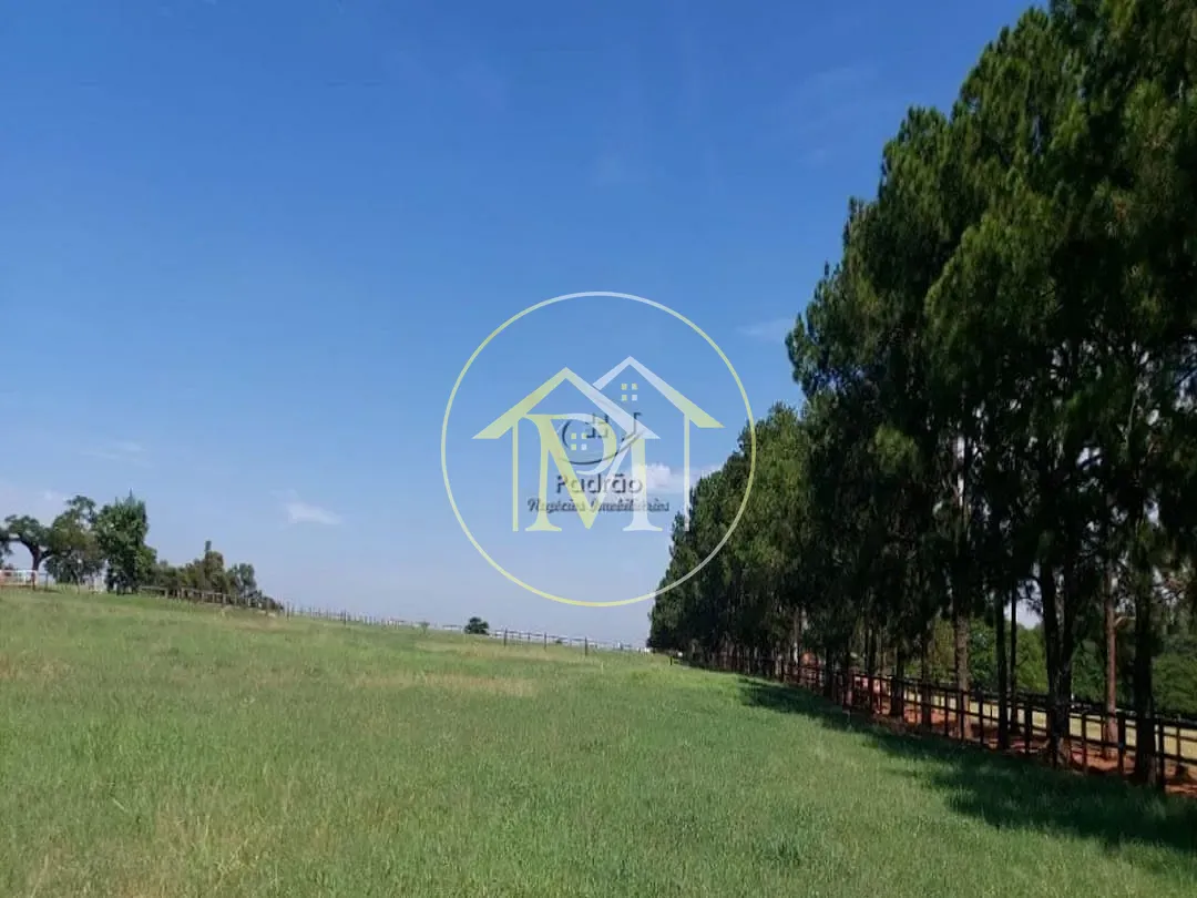 Fazenda, 85 hectares - Foto 14