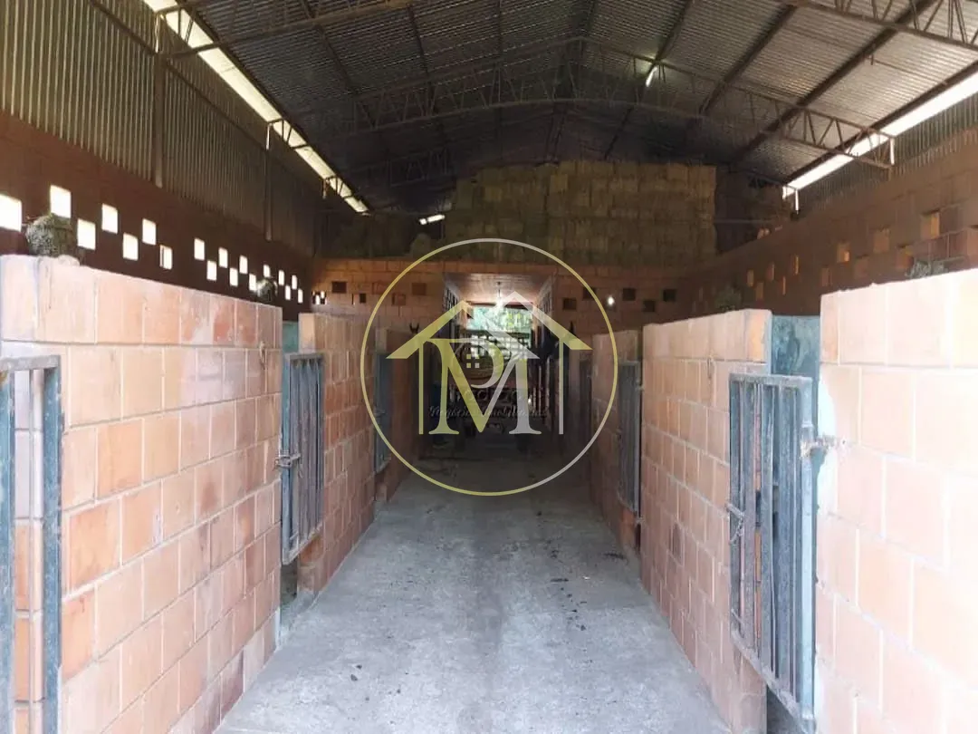 Fazenda, 85 hectares - Foto 28