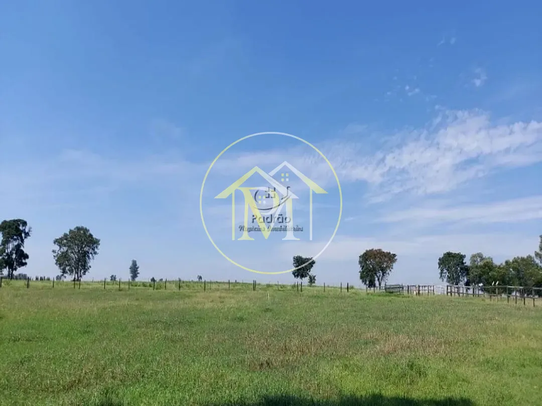 Fazenda, 85 hectares - Foto 15