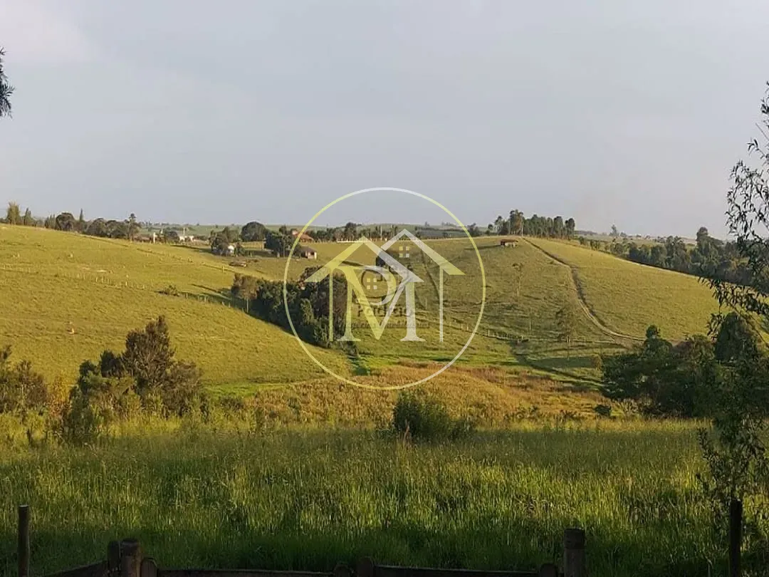 Fazenda, 29 hectares - Foto 6