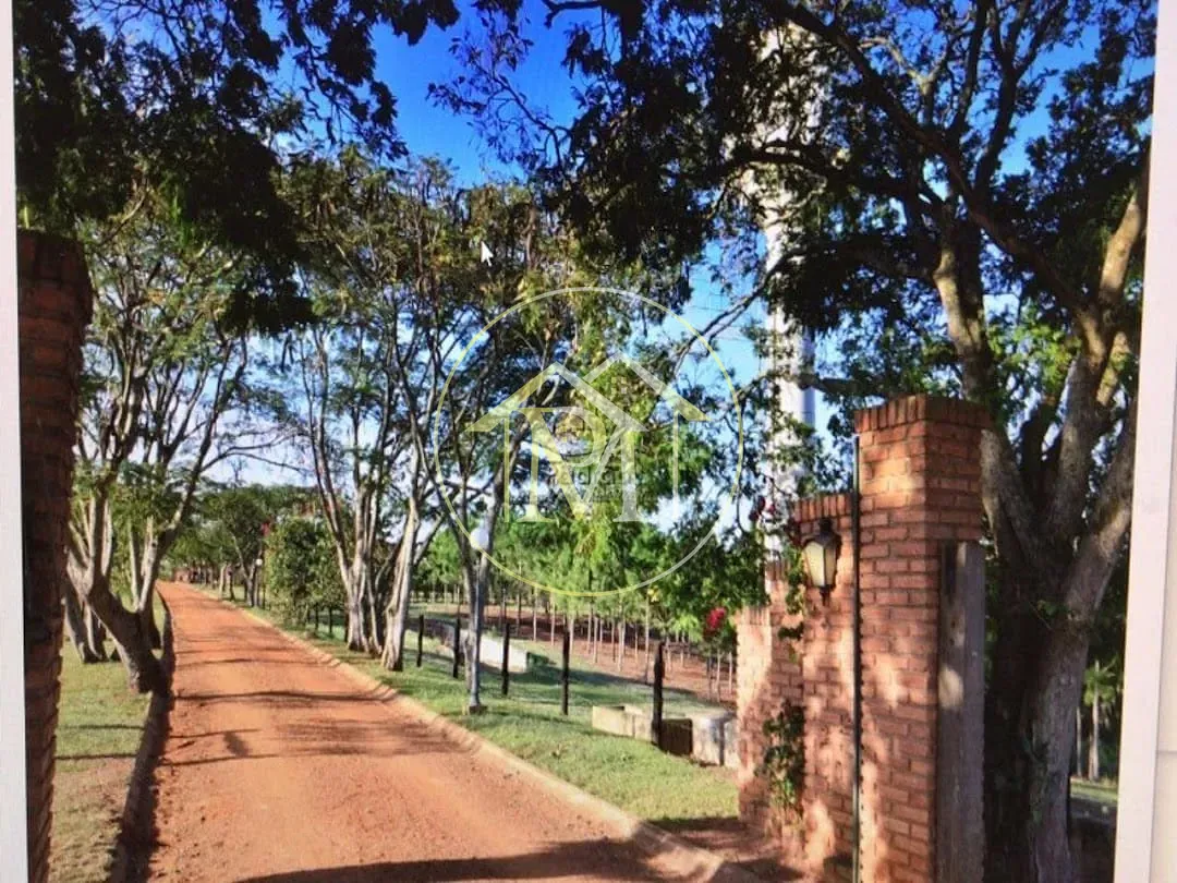 Fazenda, 29 hectares - Foto 28