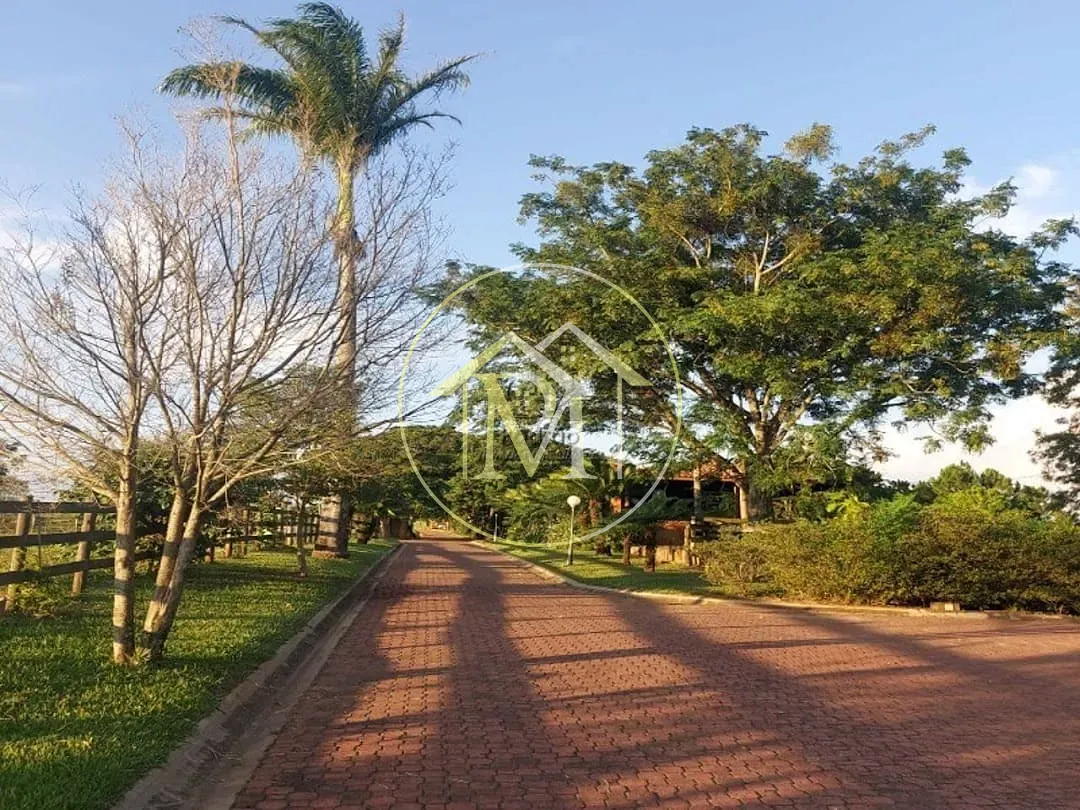 Fazenda, 29 hectares - Foto 2