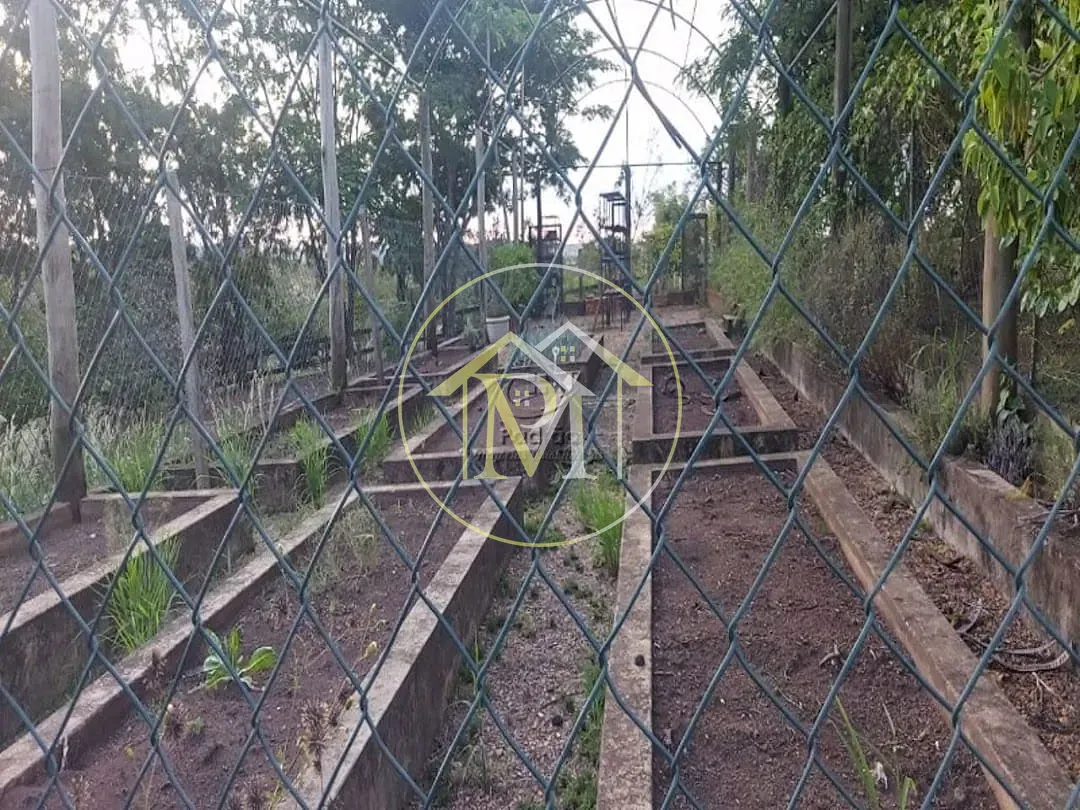 Fazenda, 29 hectares - Foto 27