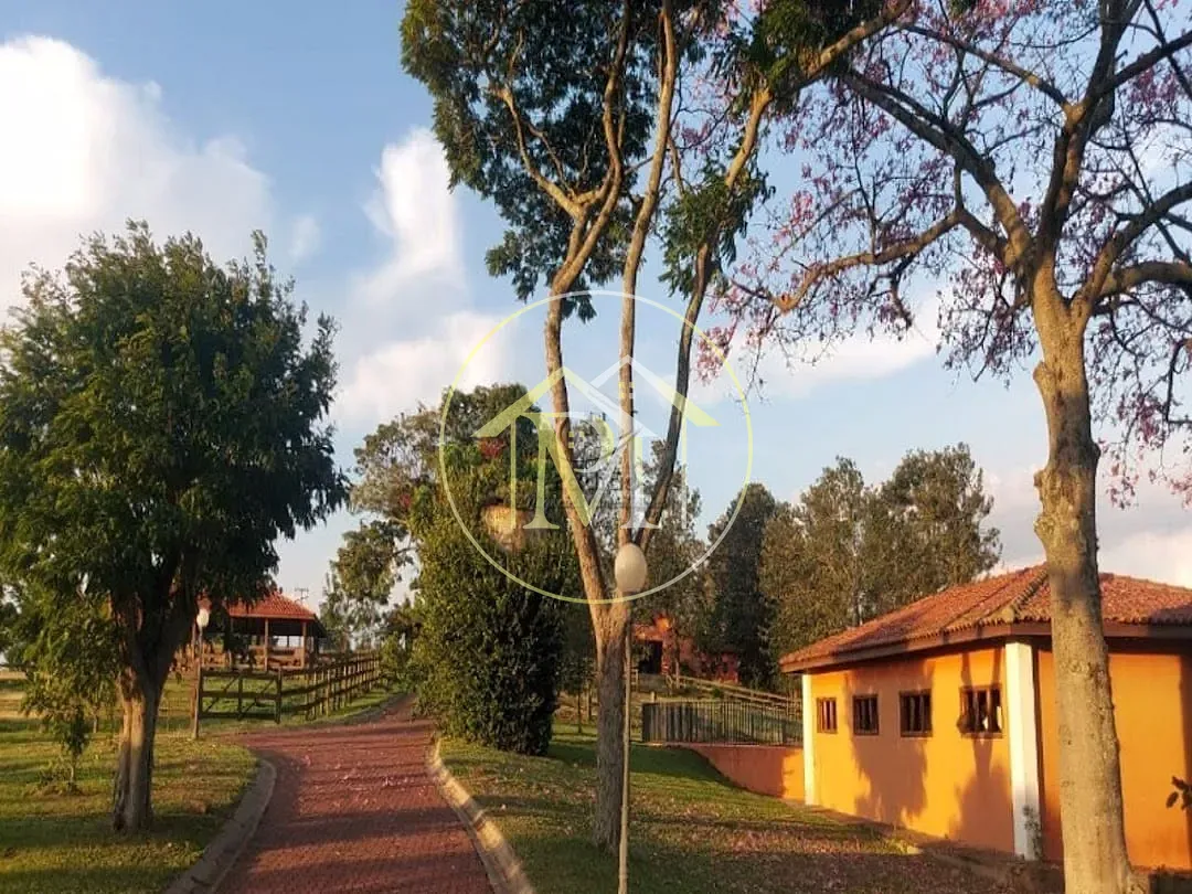 Fazenda, 29 hectares - Foto 3