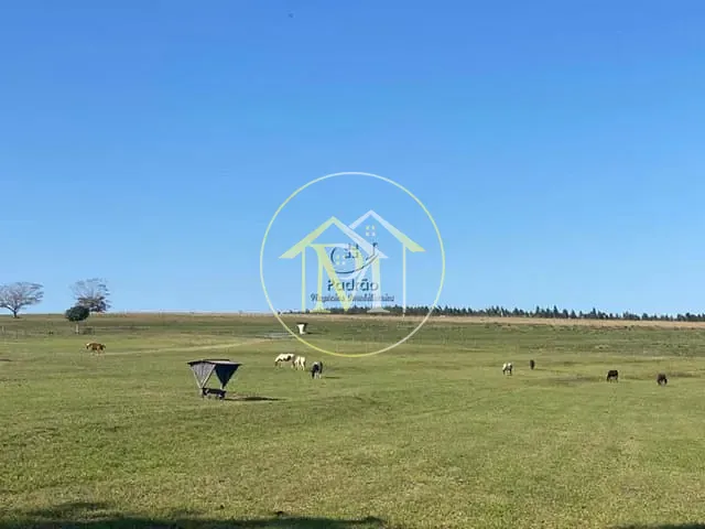 Haras com 63m² 3 quartos e 8 banheiros, à venda, no bairro Área rural em Bauru